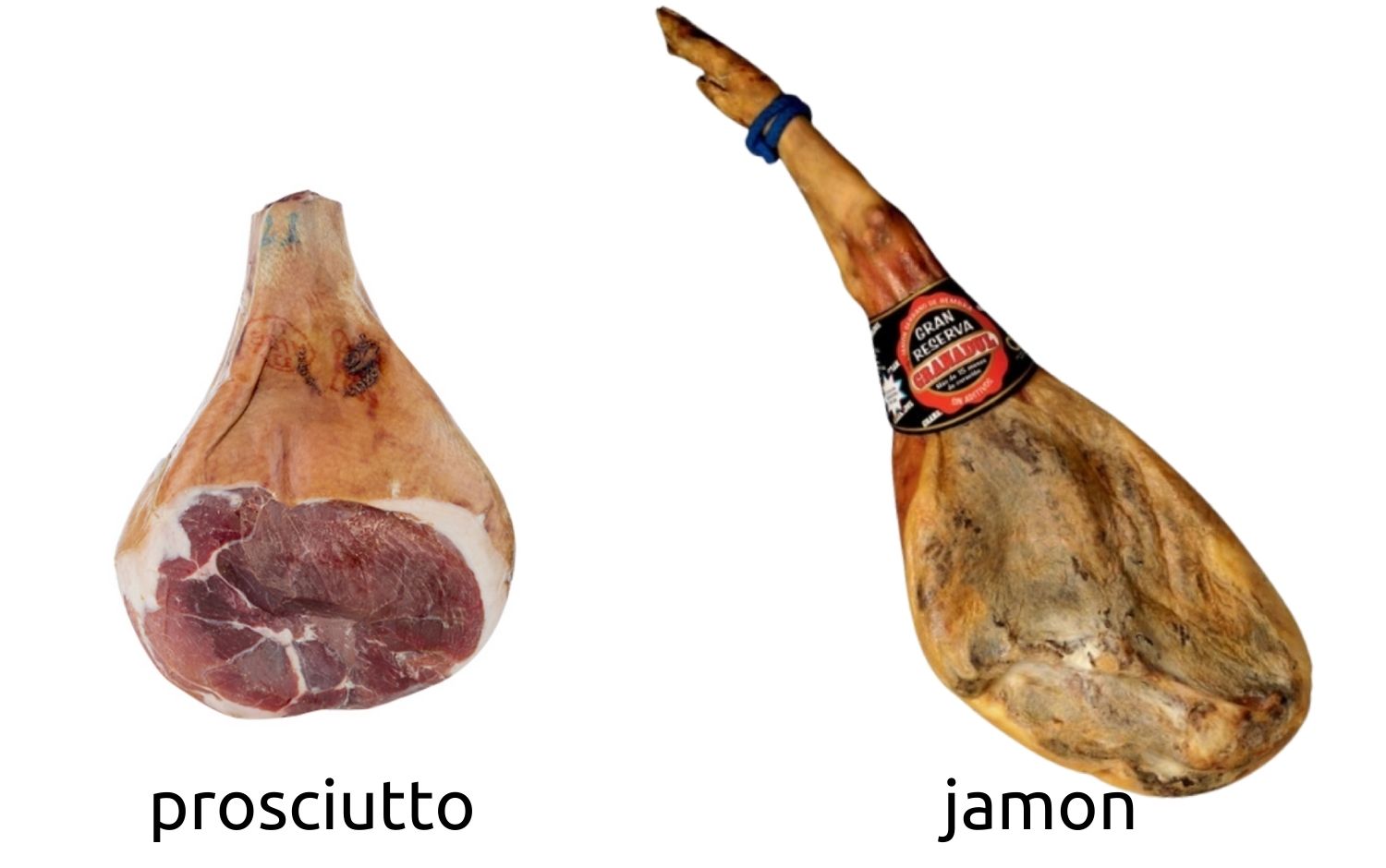 prosciutto vs jamon